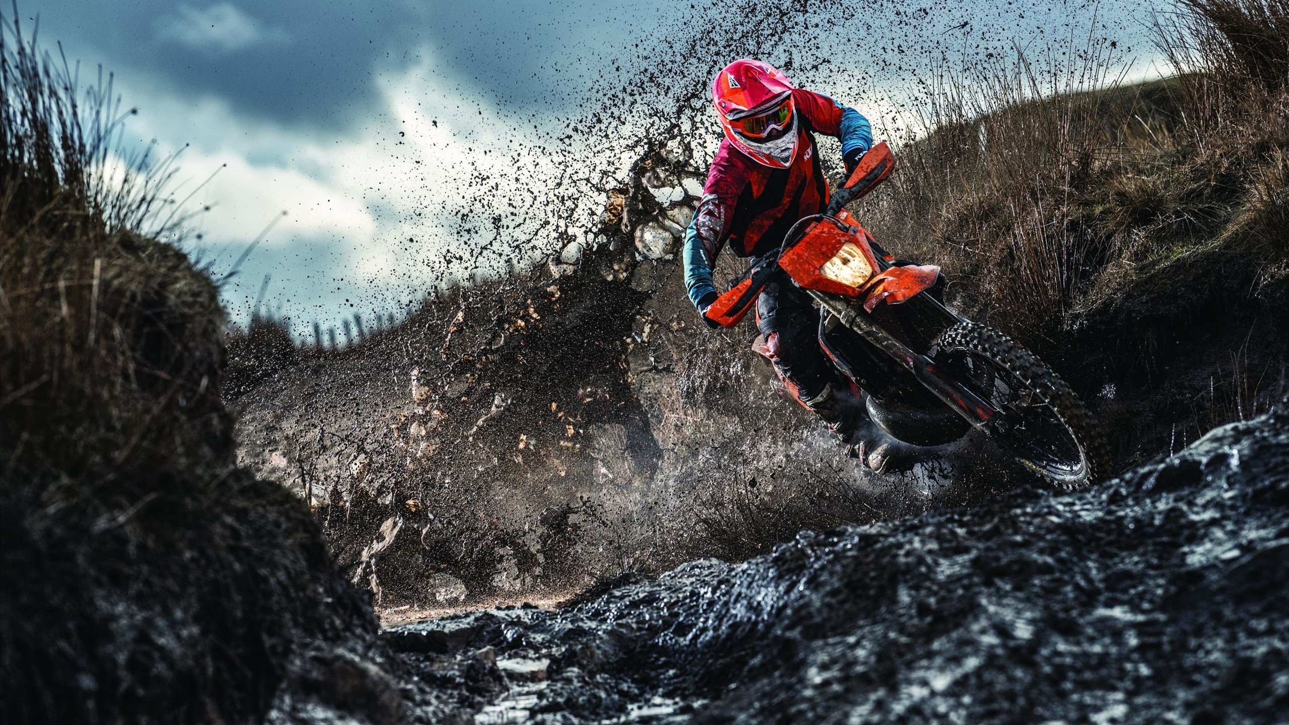 蒂姆重返赛场，爆冷首场状态出色，法国队观众沸腾！观众掌声雷动